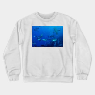 Grey Reef Sharks Great Barrier Reef Australia Crewneck Sweatshirt